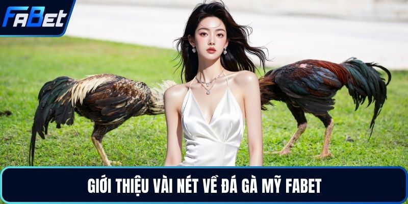Giới thiệu vài nét về đá gà Mỹ FABET